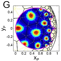 hyperbolic grid