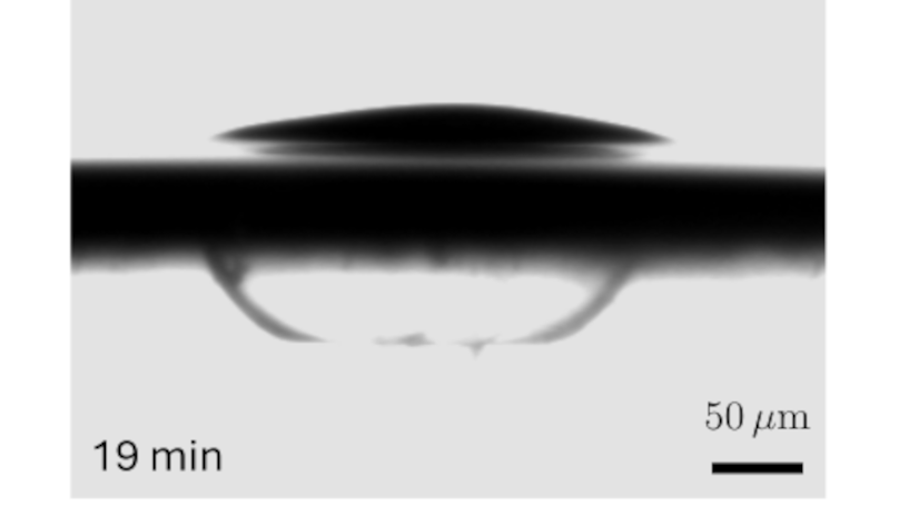 2026-andrini-elastocapillarity.png