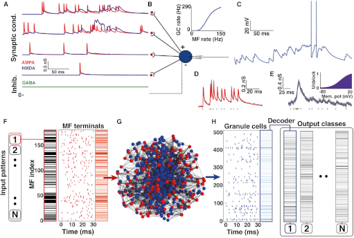 Billings et al Neuron 2014