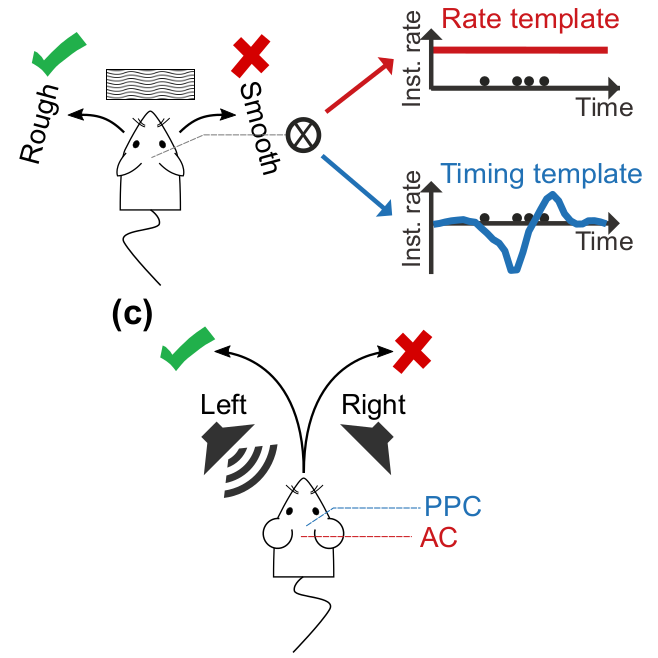 Pica et al NeurIPS 2017