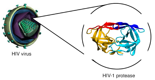 HIV virus