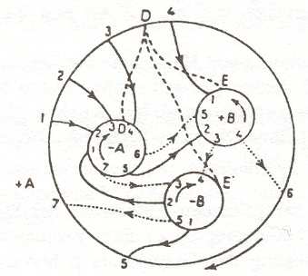Heegard diagram for the Poincare homology sphere